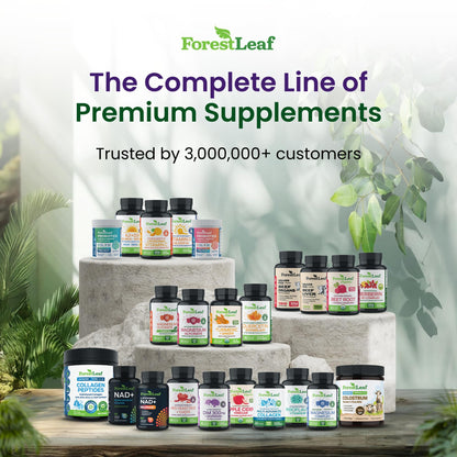ForestLeaf Glucosamine Chondroitin MSM Joint Supplement Complex - 1200mg - 120 Caps ForestLeafBuy Supplements Australia