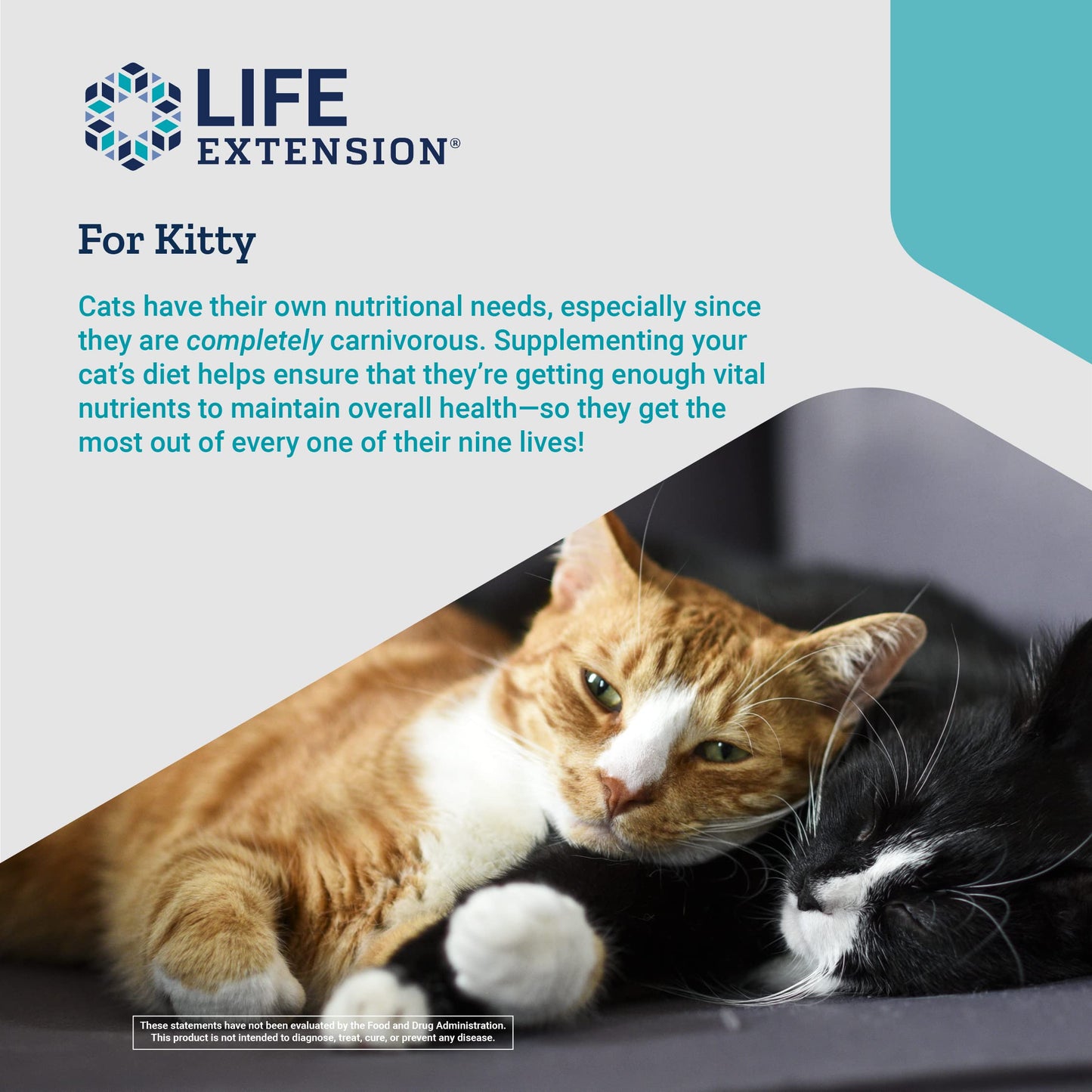Life Extension Cat Mix – For Heart, Kidney & Pancreatic Function + Gut Health Life ExtensionBuy Supplements Australia