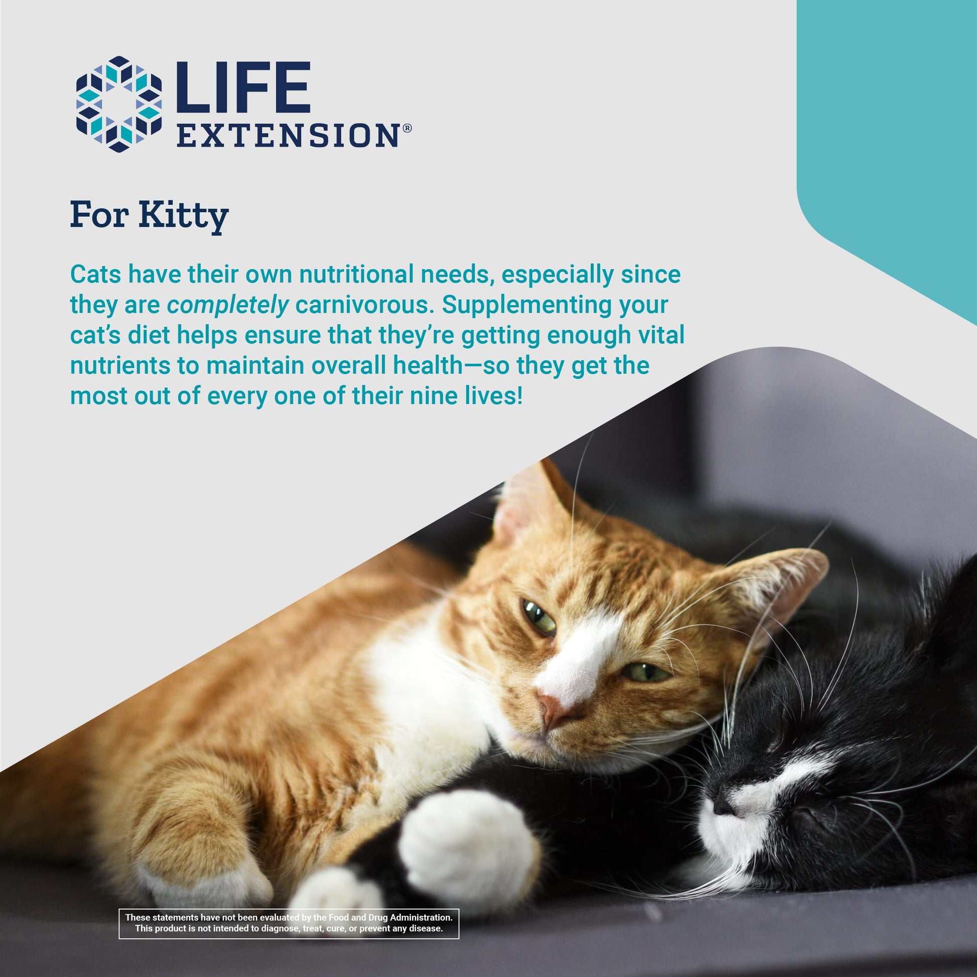 Life Extension Cat Mix – For Heart, Kidney & Pancreatic Function + Gut Health Life ExtensionBuy Supplements Australia