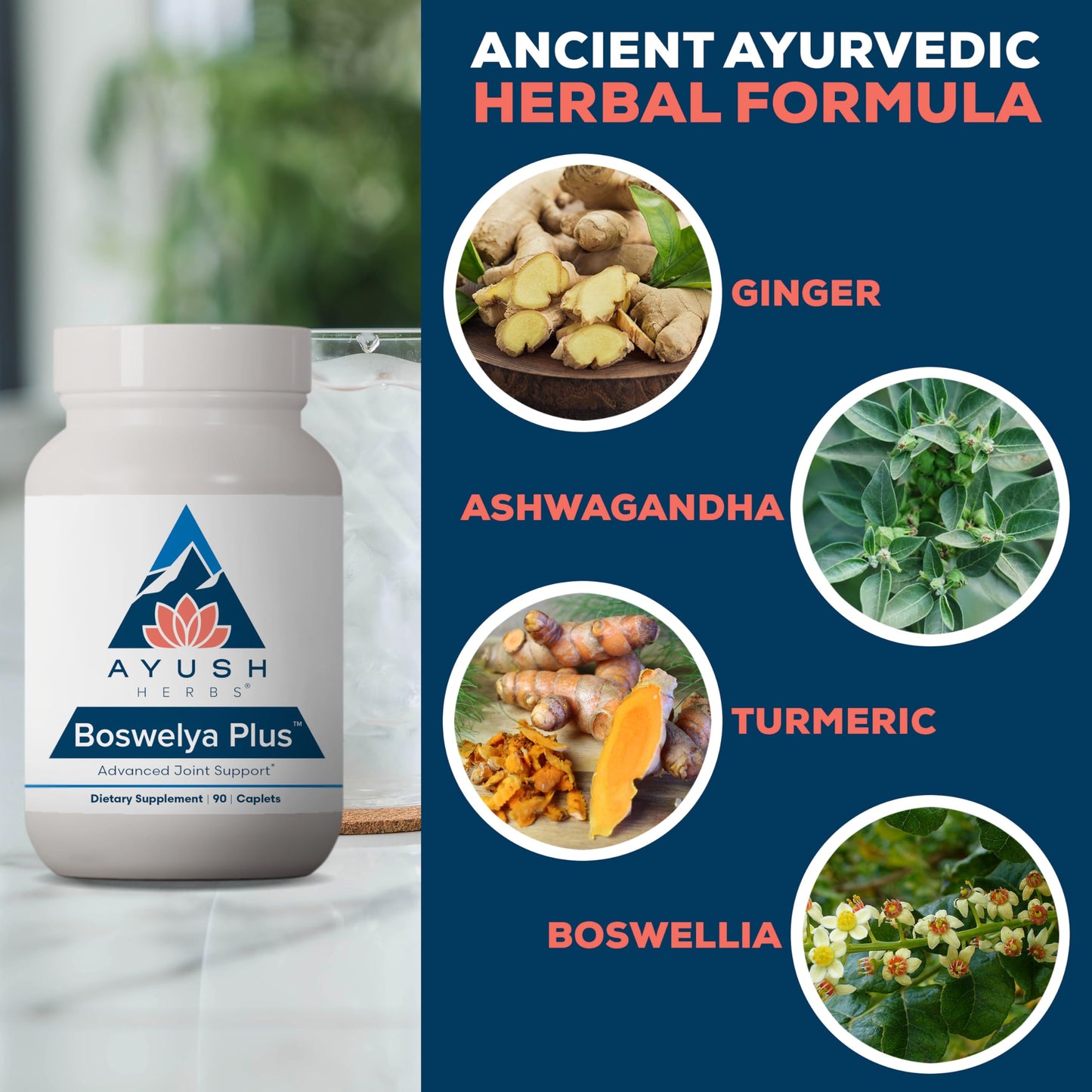 Ayush Herbs Boswelya Plus - Glucosamine Chondroitin Joint Support Supplement, Turmeric Muscle Support for Men & Women, Joint Care with Curcumin - 90 Vegetarian Capsules (1 Count) Ayush HerbsBuy Supplements Australia