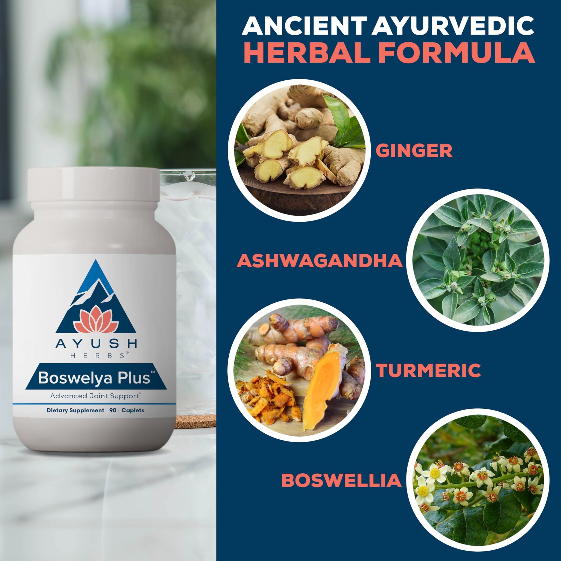 Ayush Herbs Boswelya Plus - Glucosamine Chondroitin Joint Support Supplement, Turmeric Muscle Support for Men & Women, Joint Care with Curcumin - 90 Vegetarian Capsules (1 Count) Ayush HerbsBuy Supplements Australia