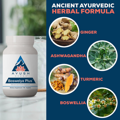 Ayush Herbs Boswelya Plus - Glucosamine Chondroitin Joint Support Supplement, Turmeric Muscle Support for Men & Women, Joint Care with Curcumin - 90 Vegetarian Capsules (1 Count) Ayush HerbsBuy Supplements Australia