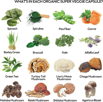 Fruits and Veggies Supplement Powerfull Blend of 39 Whole Fruits and Veggies, Fills Nutritional Gaps, Get Energy, Well-being. USA Made Non-GMO/Vegan/Gluten Free. Packaging May Vary (60 Day Supply) ROOTIEBuy Supplements Australia