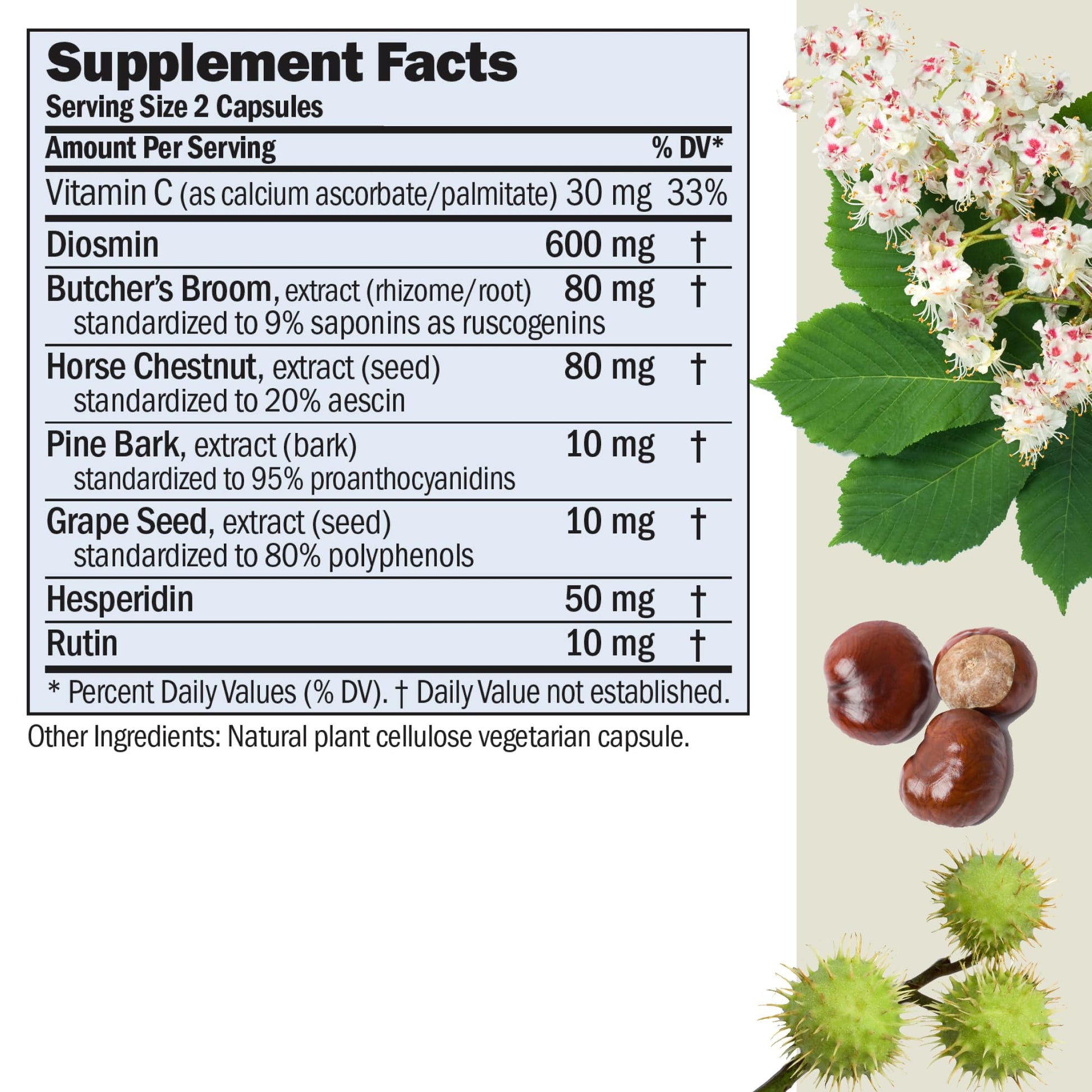 ANDREW LESSMAN Circulation, Vein Support for Healthy Legs 180 Capsules - High Bioactivity Diosmin, Butcher's Broom, Visibly Reduces Swelling and Discomfort in Feet, Ankles, Calves, Legs ANDREW LESSMANBuy Supplements Australia