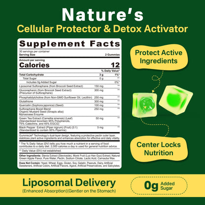Liposomal Sulforaphane Supplement 150mg, from Broccoli Seed Extract w/Myrosinase, Quercetin, Glutathione, Sulforaphane Supplement Gummies for Antioxidants Detox Cellular Brain Health, Chewable 60Cts LILICAREBuy Supplements Australia