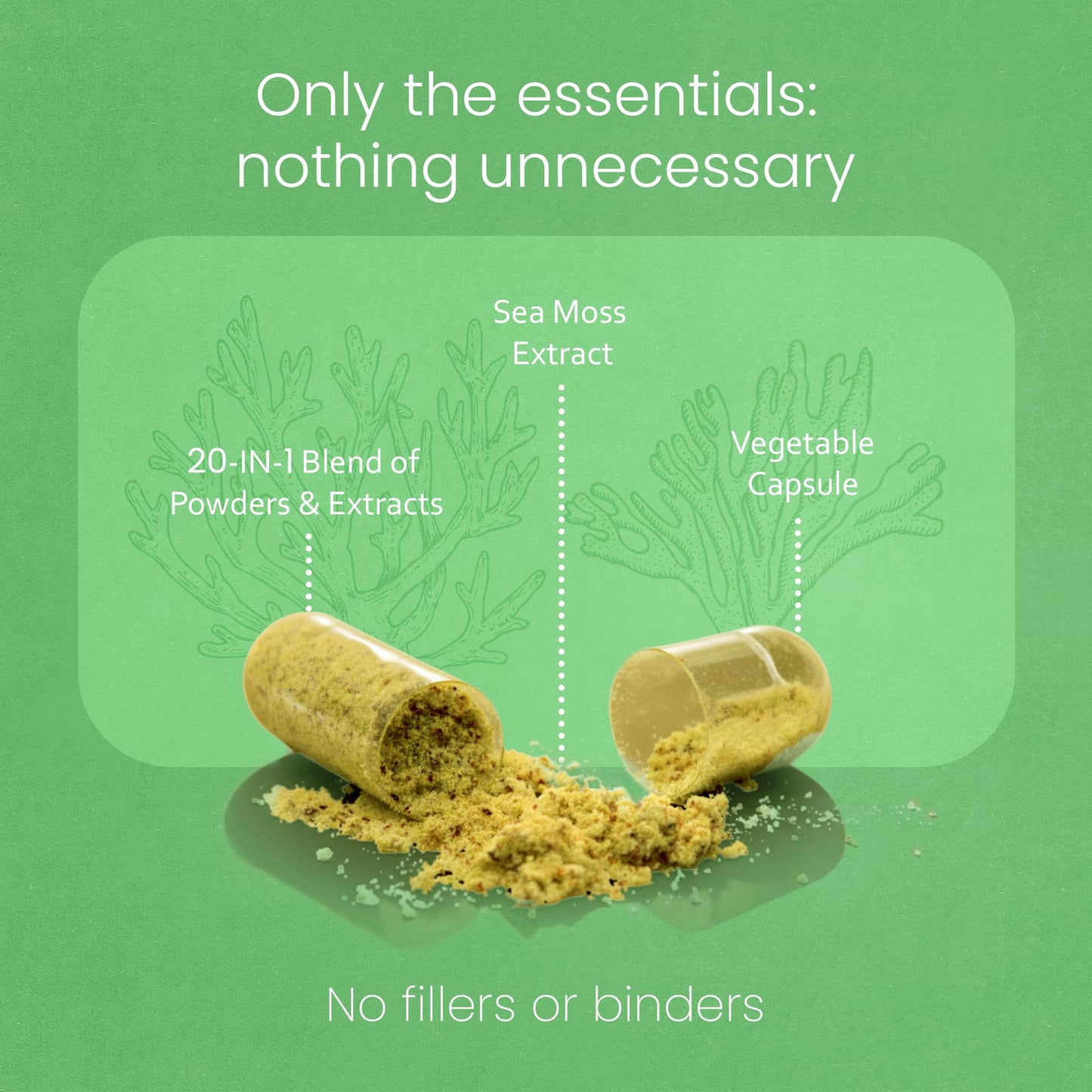 Sea Moss, Black Seed Oil, Bladderwrack, Turmeric, Ashwagandha, Burdock, Vitamin C, D3, Yellow Dock Root, Manuka, Dandelion - 90 Veggie caps NaturaLife LabsBuy Supplements Australia