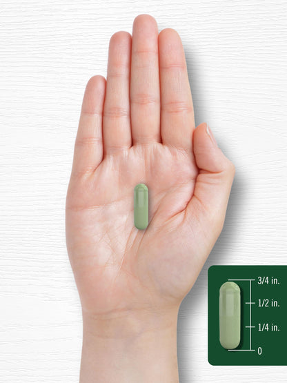 Carlyle Moringa Oleifera Supplement | 180 Capsules | Complete Green Superfood for Women and Men | Non-GMO and Gluten Free