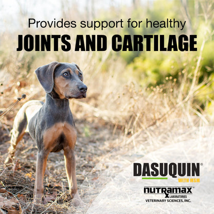 Nutramax Dasuquin for Small to Medium Dogs, Joint Health Supplement, Contains Glucosamine for Dogs, Plus Chondroitin, ASU, MSM and More, Supports Healthy Joints, Chewable Tablets, 84 Count Nutramax LaboratoriesBuy Supplements Australia