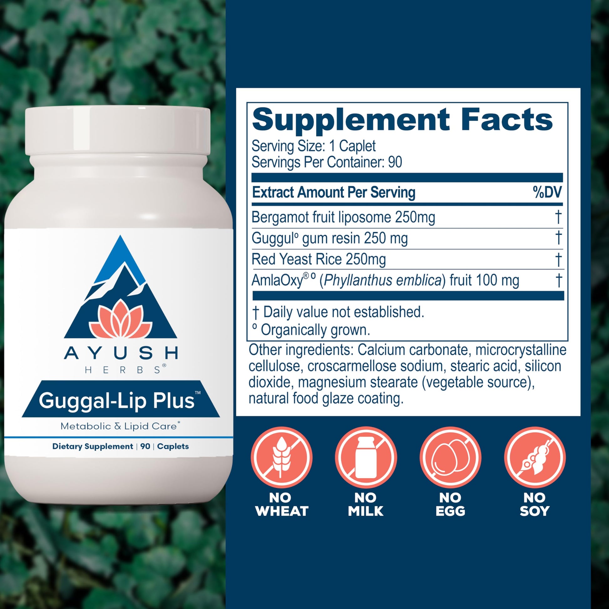 Ayush Herbs Guggal-Lip Plus - Metabolic Vitamins for Women & Men, Daily Pill, Pure & Natural Metabolic Health Supplement with Guggul - 90 Vegetarian Caplets (1 Count) Ayush HerbsBuy Supplements Australia