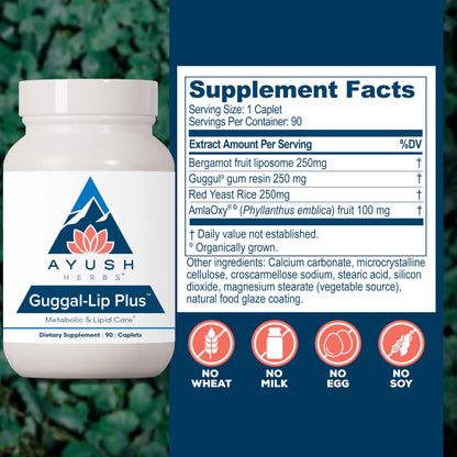 Ayush Herbs Guggal-Lip Plus - Metabolic Vitamins for Women & Men, Daily Pill, Pure & Natural Metabolic Health Supplement with Guggul - 90 Vegetarian Caplets (1 Count) Ayush HerbsBuy Supplements Australia