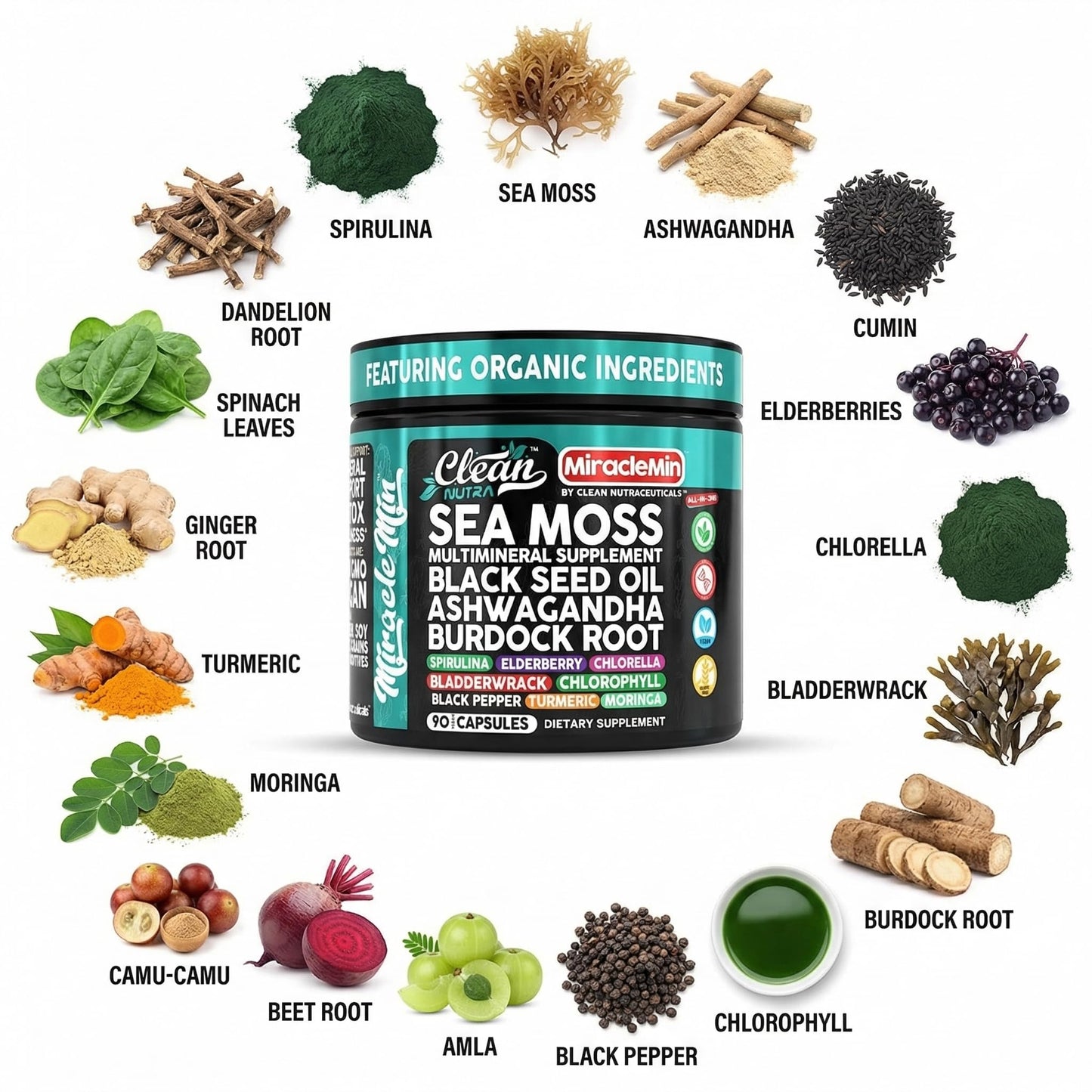 Clean Nutra Organic Sea Moss Capsules with Ashwagandha, Black Seed Oil, Burdock Root, Bladderwrack, Moringa, Chlorella, Spirulina, Turmeric, Elderberry, Amla – 90 Vegan Capsules – MiracleMin Clean NutraceuticalsBuy Supplements Australia