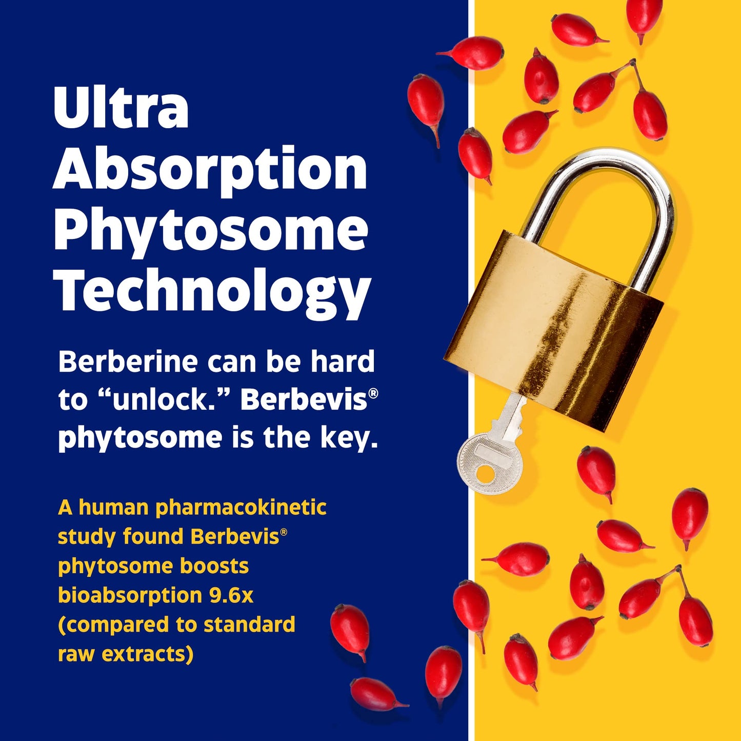 Enzymedica, Berberine Phytosome EnzymedicaBuy Supplements Australia