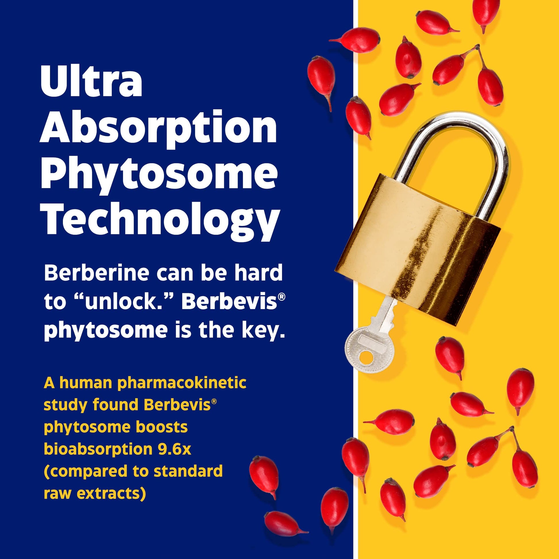 Enzymedica, Berberine Phytosome EnzymedicaBuy Supplements Australia