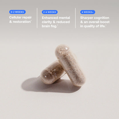 BodyBio Calm - Natural Stress Relief Blend with Rhodiola, Glycine & Phosphatidylserine - Supports Relaxation, Mental Focus & Balanced Cortisol - Non - Drowsy Formula BodyBioBuy Supplements Australia