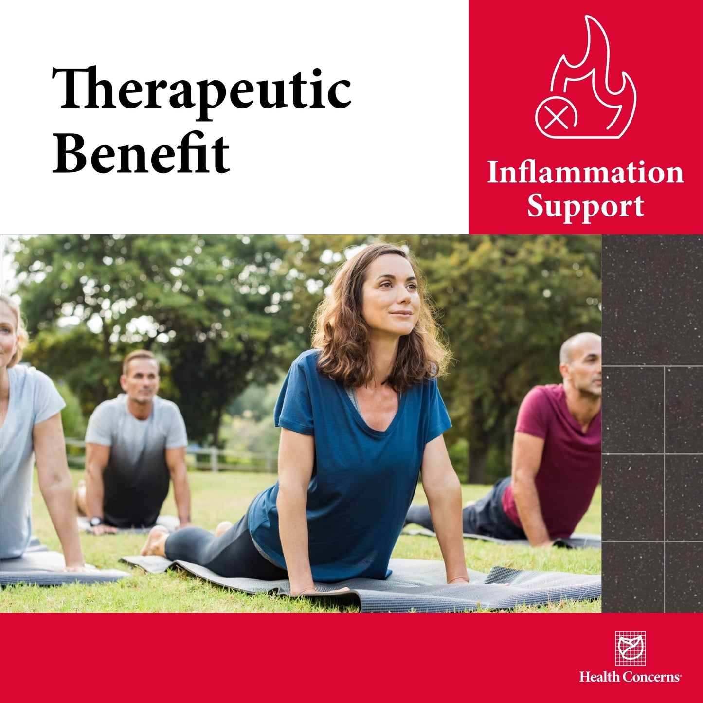 Health Concerns Serramend – Immune Defense Support Supplement – Serrapeptase Proteolytic Enzyme – Blood Circulation – Chinese Herbal Supplement for Men & Women – 180 Capsules Health ConcernsBuy Supplements Australia