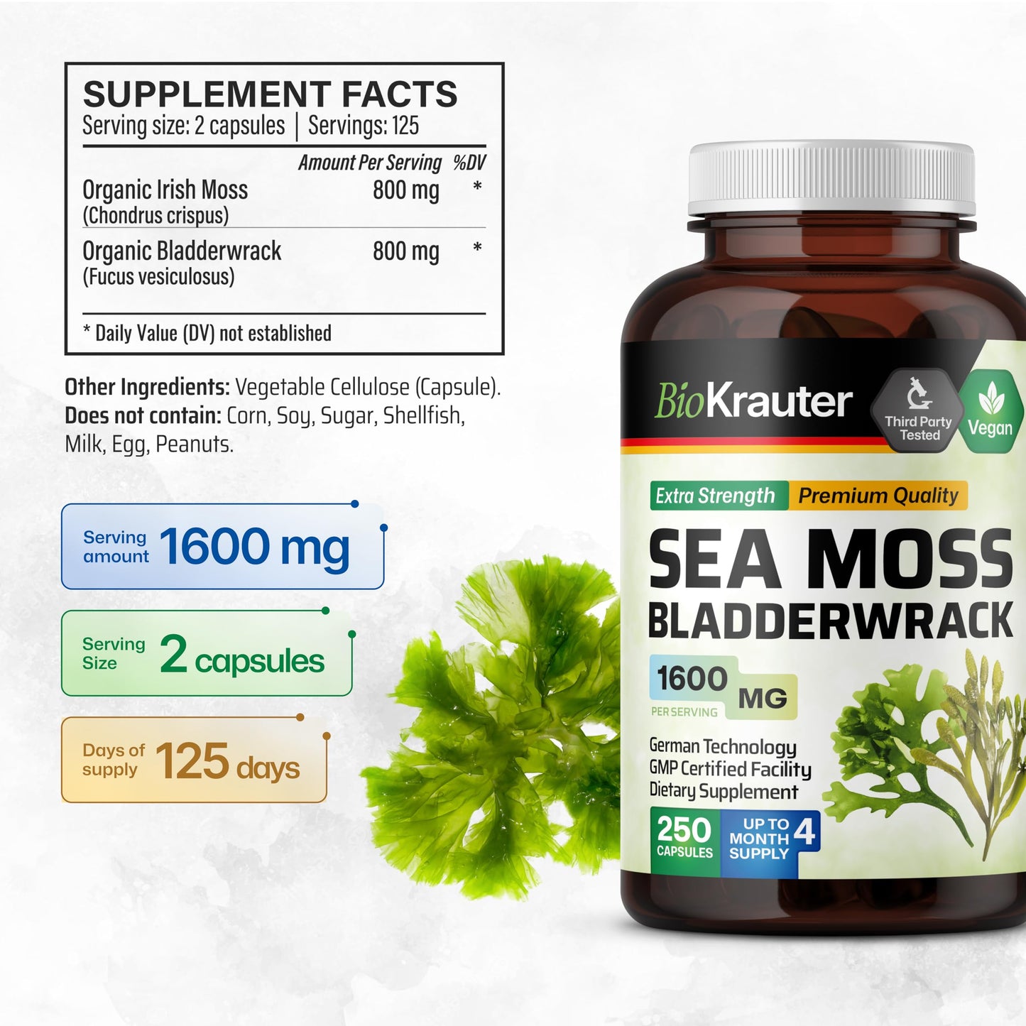 BIO KRAUTER® 2-in-1 Sea Moss for Thyroid Support - Vegan Bladderwrack & Sea Moss Capsules for Women & Men - Natural Сhondrus Сrispus Seaweed Supplement 1600 mg - 125 Days of Supply, Non-GMO BIO KRAUTERBuy Supplements Australia