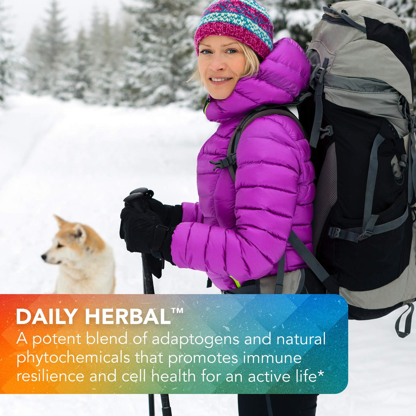 Vital Plan Daily Herbal Supplement by Dr. Bill Rawls – Herbal Immunity Booster for Immune Support, Microbiome Balance & Cell Health — Reishi Mushroom, Turmeric & Rhodiola Vital PlanBuy Supplements Australia