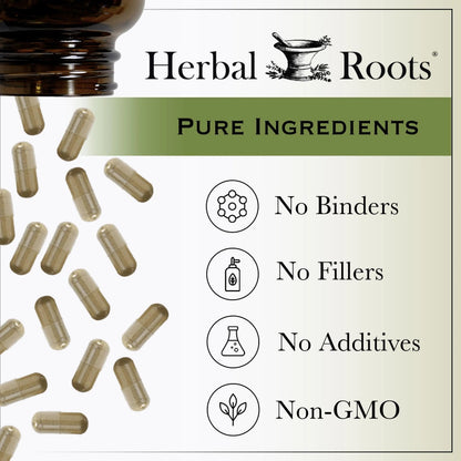 Herbal Roots Extra Strength Cranberry Pills for Women & Men with Organic Nettle | Urinary Tract Health | 60 Vegan Capsules Herbal RootsBuy Supplements Australia