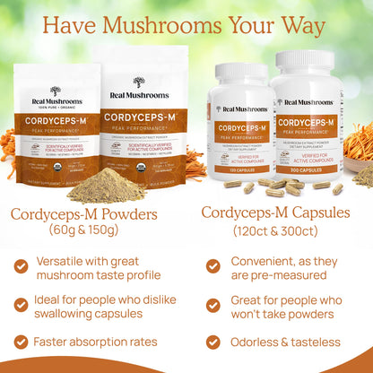 Real Mushrooms Cordyceps Capsules - Performance Mushroom Extract Supplement Real MushroomsBuy Supplements Australia