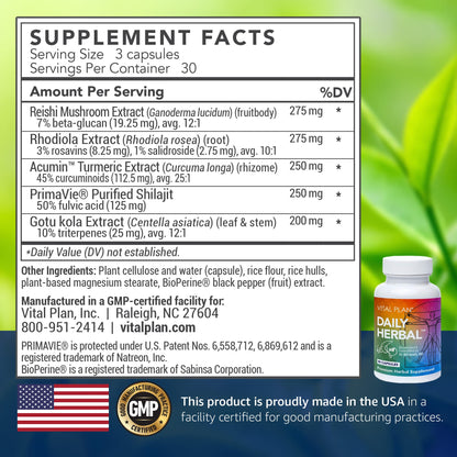 Vital Plan Daily Herbal Supplement by Dr. Bill Rawls – Herbal Immunity Booster for Immune Support, Microbiome Balance & Cell Health — Reishi Mushroom, Turmeric & Rhodiola Vital PlanBuy Supplements Australia