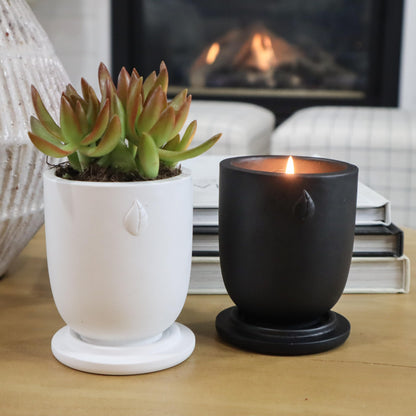 CandlePlanter Concrete Cement Candle Planter - Candles for Home Scented, Soy Candles CANDLEPLANTERBuy Supplements Australia