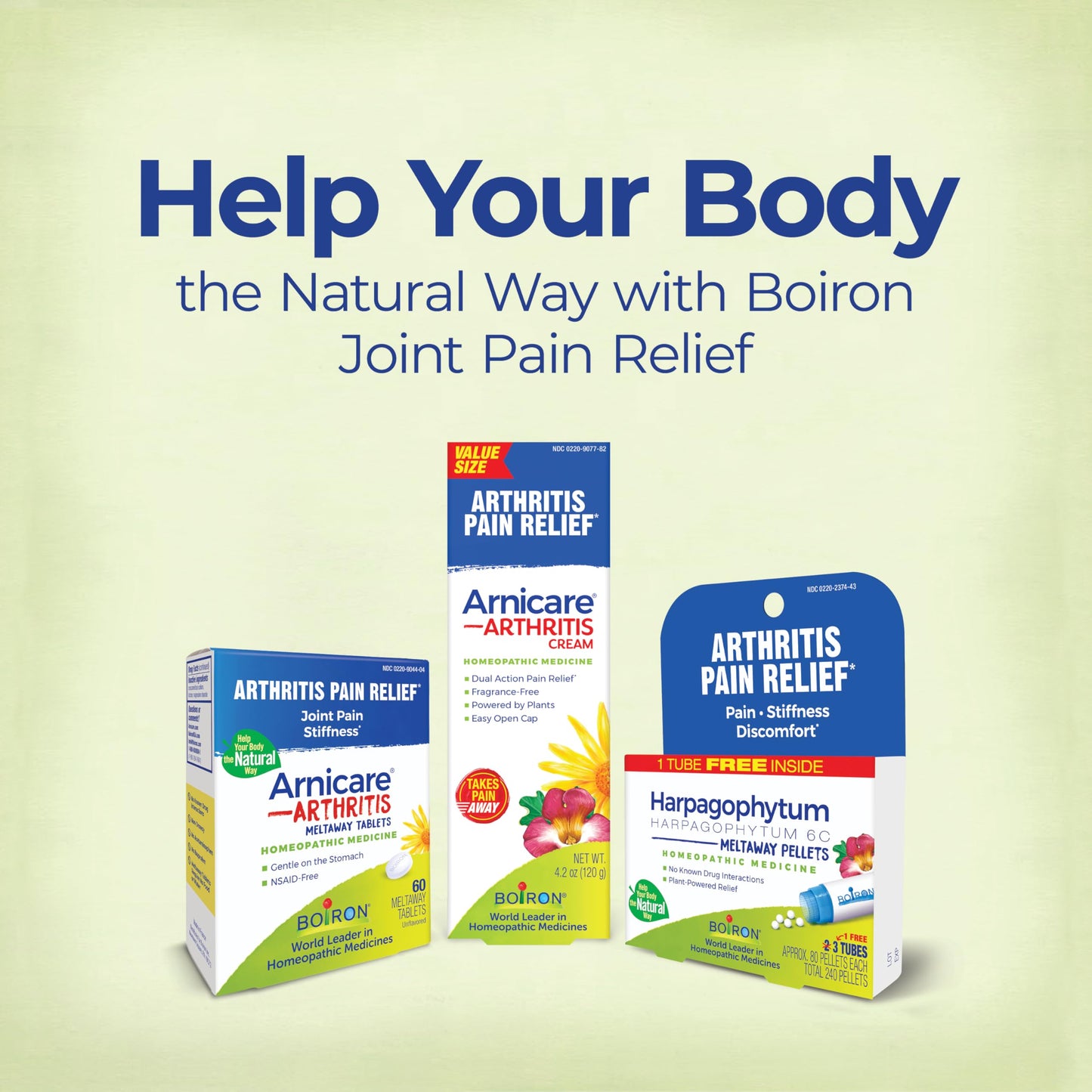 Boiron Arnicare Arthritis Tablets for Arthritis Pain Relief, Joint Soreness, and Rheumatic Pain - 120 Count BoironBuy Supplements Australia