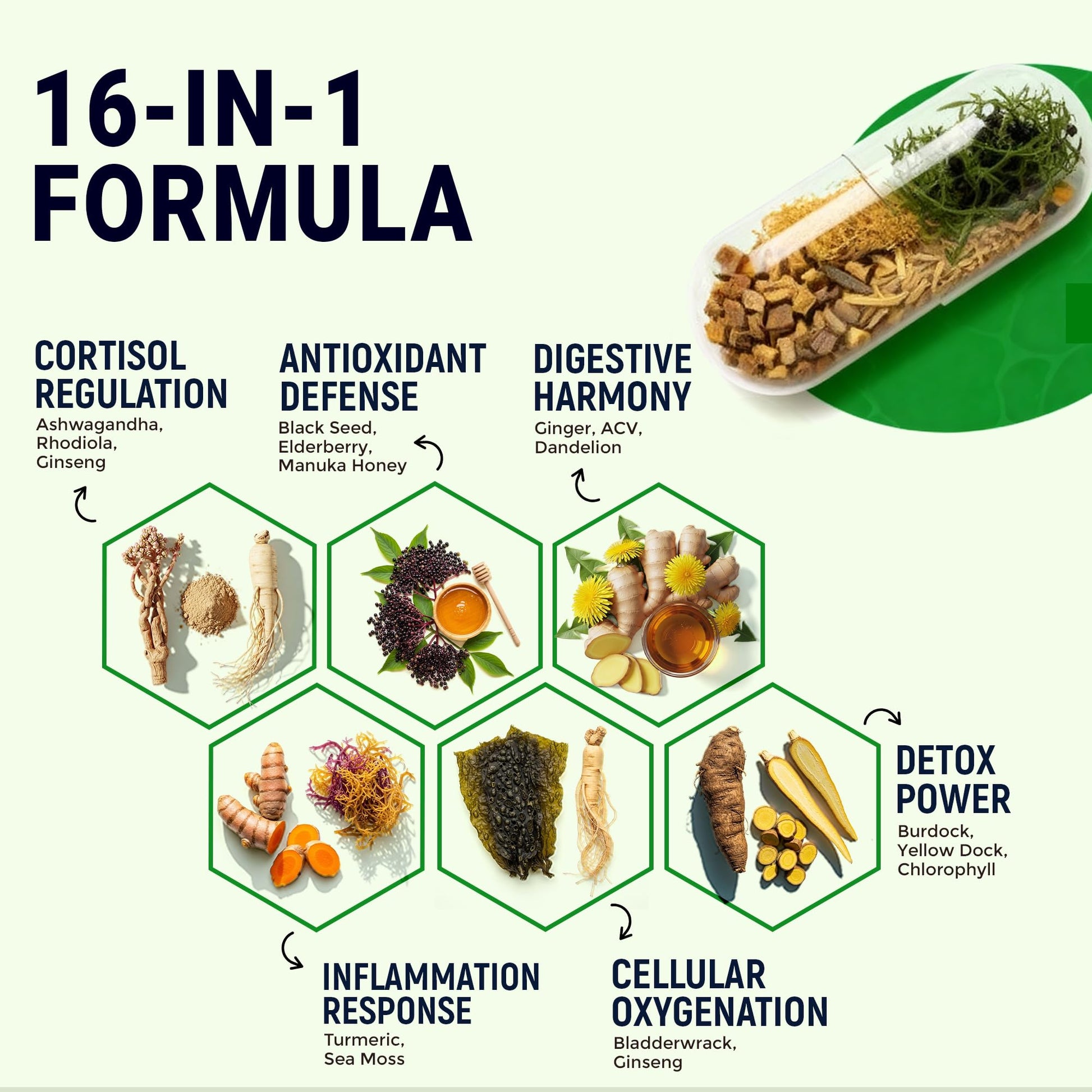 Sea Moss Black Seed Oil Ashwagandha Ginger - Advanced Irish Sea Moss Capsules All in One Supplement with Seamoss Black Seed Oil Ashwagandha Burdock Root Bladderwrack - Pills for Energy, Immune, Gut Opti HealthBuy Supplements Australia