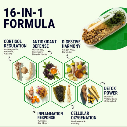 Sea Moss Black Seed Oil Ashwagandha Ginger - Advanced Irish Sea Moss Capsules All in One Supplement with Seamoss Black Seed Oil Ashwagandha Burdock Root Bladderwrack - Pills for Energy, Immune, Gut Opti HealthBuy Supplements Australia