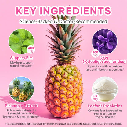 KITNOBLIS Feminine Probiotic Gummies with Slippery Elm- Pineapple Gummies for Women pH Balance, Gut Health & Immune Supports | with Prebiotics & Lactobacillus Blend (60 Gummies) KITNOBLISBuy Supplements Australia