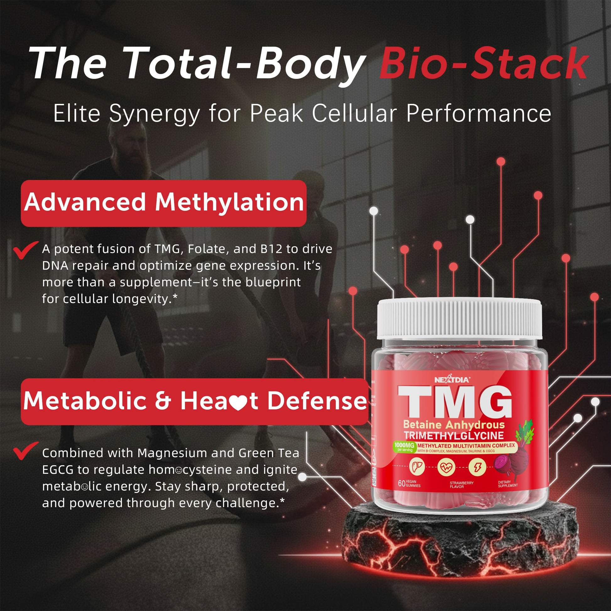 2Pack TMG Gummies 1000mg Betaine Anhydrous + Methylated Multivitamin & B Complex Methylated(Methylfolate B12 B6), Magnesium, Taurine - Essential Trimethylglycine for Homocysteine Levels, Brain, Energy NextdiaBuy Supplements Australia
