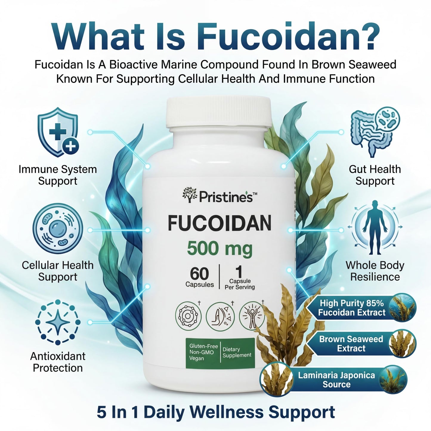 PRISTINE'S Fucoidan 500MG Immunity Supplement Capsules - 60 Day Supply - Brown Seaweed Extract - Potent Herbal Antioxidant Lung Health & Skin Health Support PRISTINE'SBuy Supplements Australia