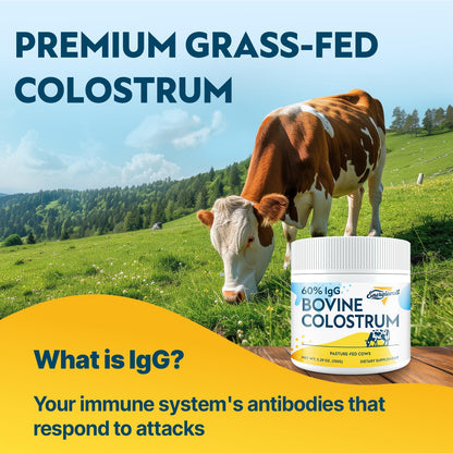 Energievoll Bovine Colostrum Supplement Powder - 60% IgG 3000 mg for Gut, Hair Growth, Beauty, and Immune, Easy to Mix, Unflavored (50 Servings) EnergievollBuy Supplements Australia