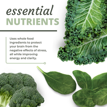 Optimal Health Systems NADH + DIM | Dr. Harris Essentials | Energy + Neurotransmitter Support | Plant-Based | Mental Clarity, Concentration, & Memory Supplement | 30 Capsules Optimal Health SystemsBuy Supplements Australia