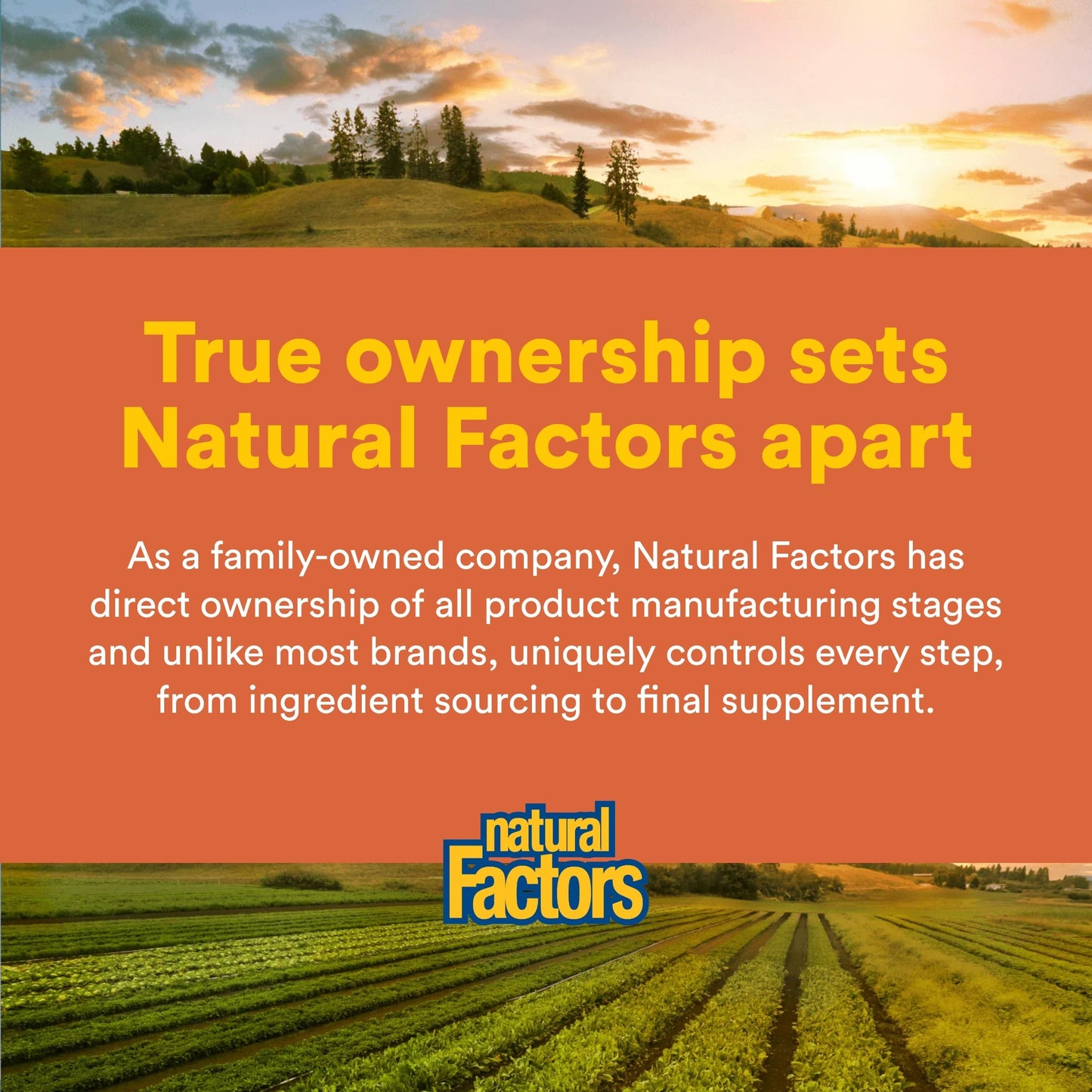 Natural Factors, PQQ-10, Supports Energy and Healthy Aging, Dietary Supplement, 60 softgels (60 servings) Natural FactorsBuy Supplements Australia