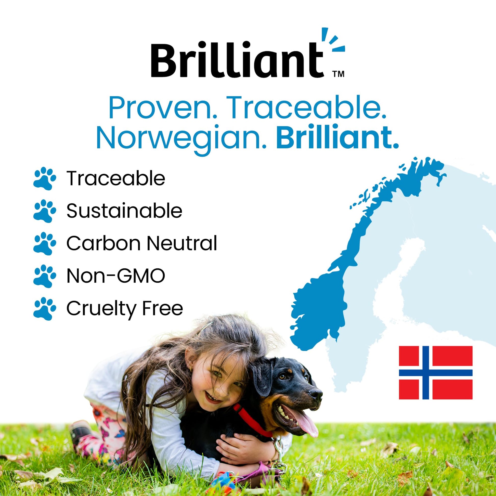 Hofseth BioCare Brilliant Bone & Joint Supplement for Dogs - High Strength Calcium & Collagen Powder for Joint & Hip Support, Essential Supplement for Dog’s of All Ages - 10.6 Oz Hofseth BioCareBuy Supplements Australia
