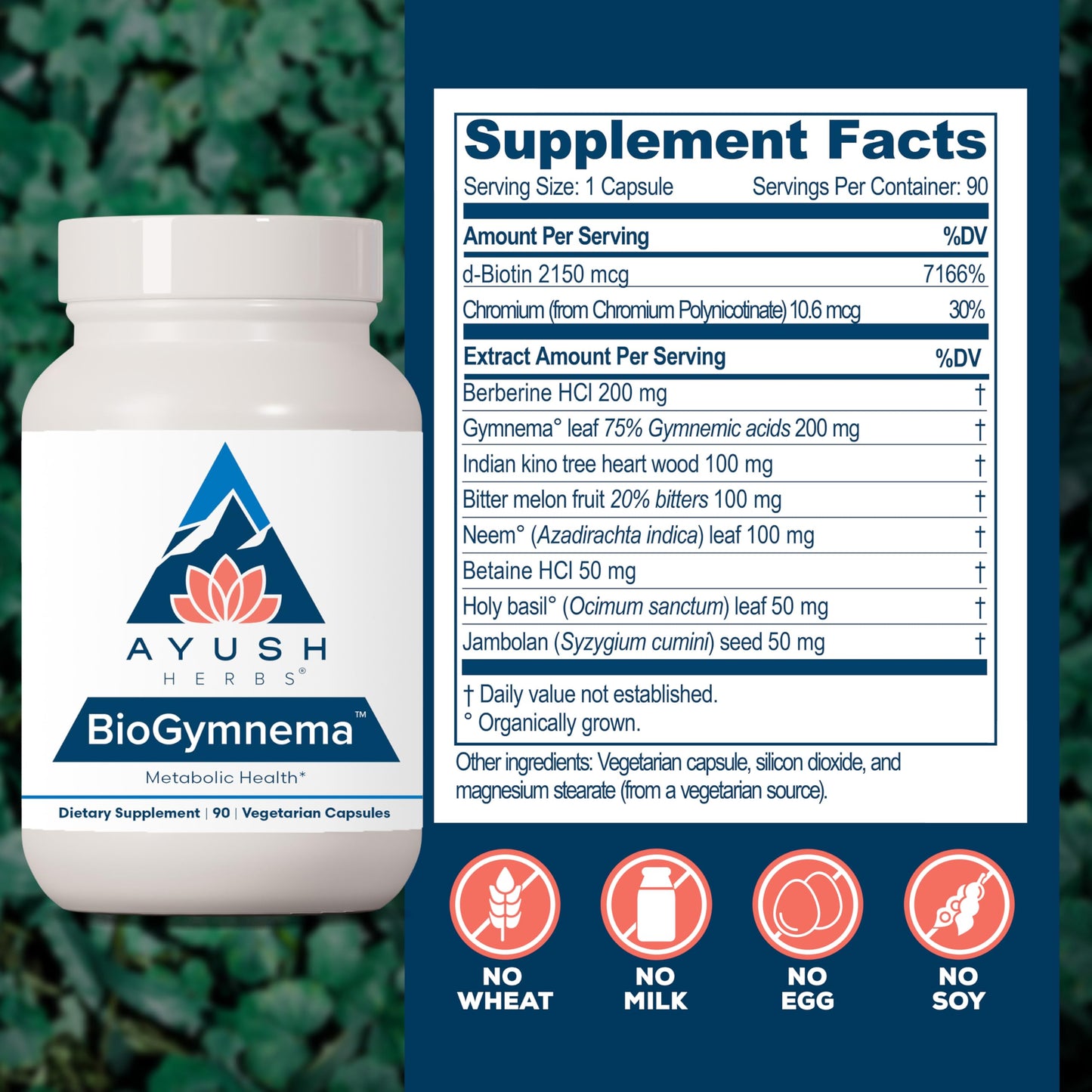 Ayush Herbs BioGymnema - Metabolic Vitamin & Herb Blend, Metabolic Health Supplement for Women & Men with Biotin, Berberine, Bitter Melon & Gymnema, Nutrient Support - 90 Servings Ayush HerbsBuy Supplements Australia
