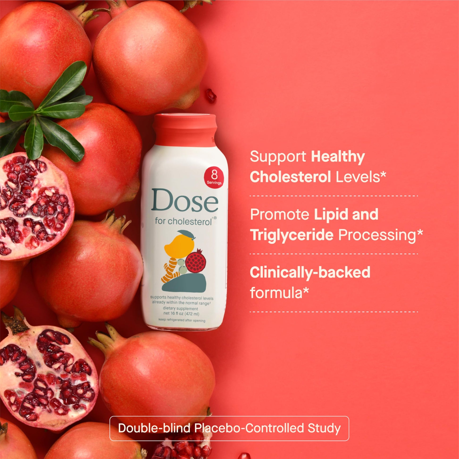 DOSE for Cholesterol Supplements Maintain Healthy Cholesterol Levels and Supports Cardiovascular Health Gluten-Free Vegan Zero Sugar, 16oz Bottle, 3 Pack (3 Week Supply) DOSEBuy Supplements Australia