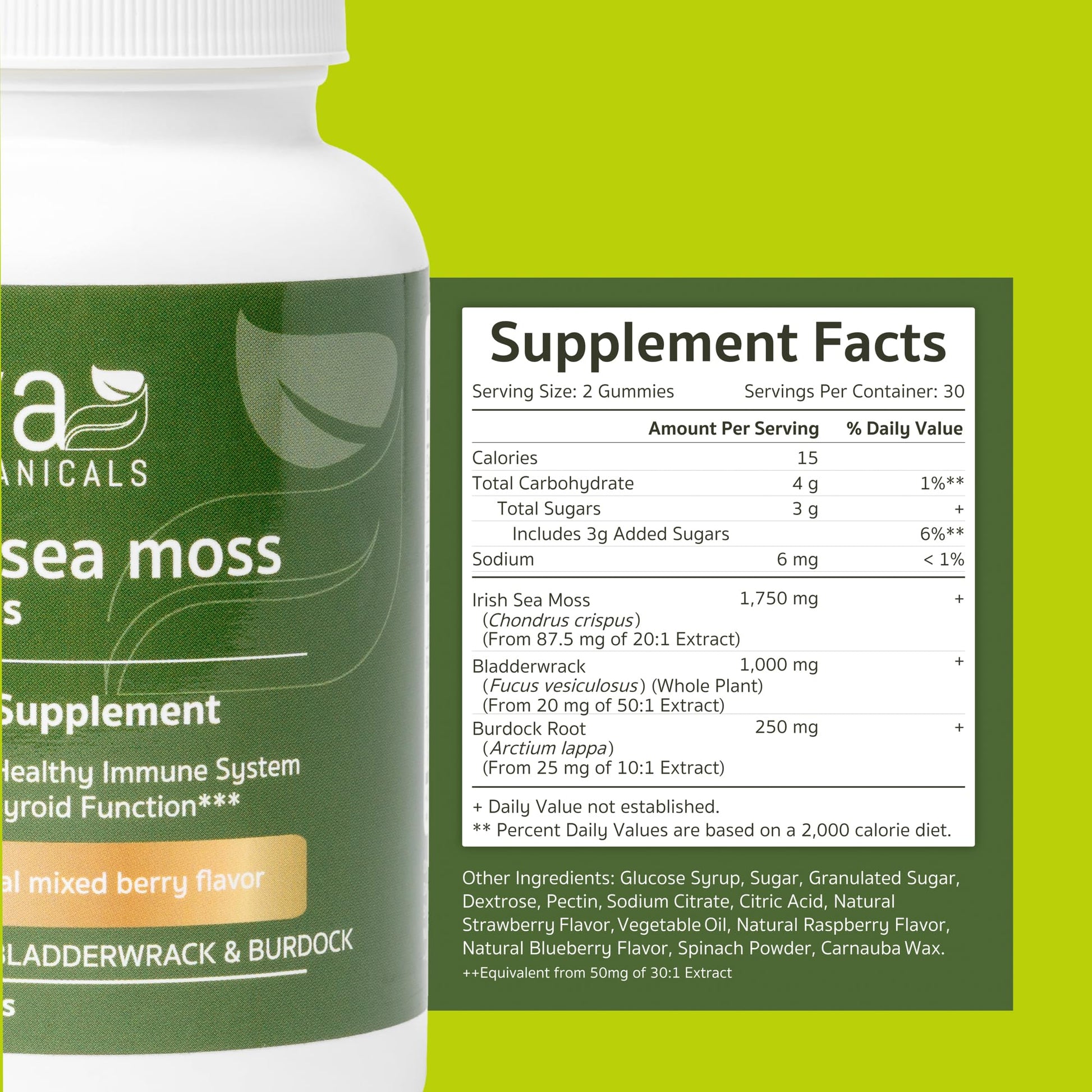 Jiva Botanicals - Irish Sea Moss Gummies with Bladderwrack & Burdock Root 3000mg Jiva BotanicalsBuy Supplements Australia