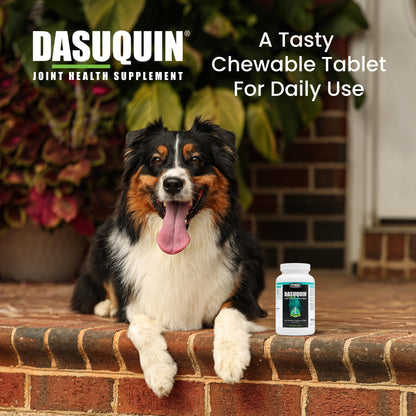 Nutramax Dasuquin for Small to Medium Dogs, Joint Health Supplement, Contains Glucosamine for Dogs, Plus Chondroitin, ASU and More, Supports Healthy Joints, Chewable Tablets, 150 Count Nutramax LaboratoriesBuy Supplements Australia