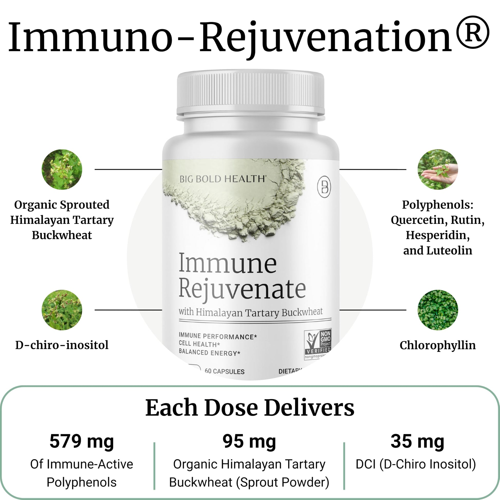 BIG BOLD HEALTH HTB Immune Rejuvenate - Polyphenols Supplement for Immune Support with Himalayan Tartary Buckwheat - Gluten Free, Dairy Free, Non-GMO Formula - 60 Vegetarian Capsules BIG BOLD HEALTHBuy Supplements Australia