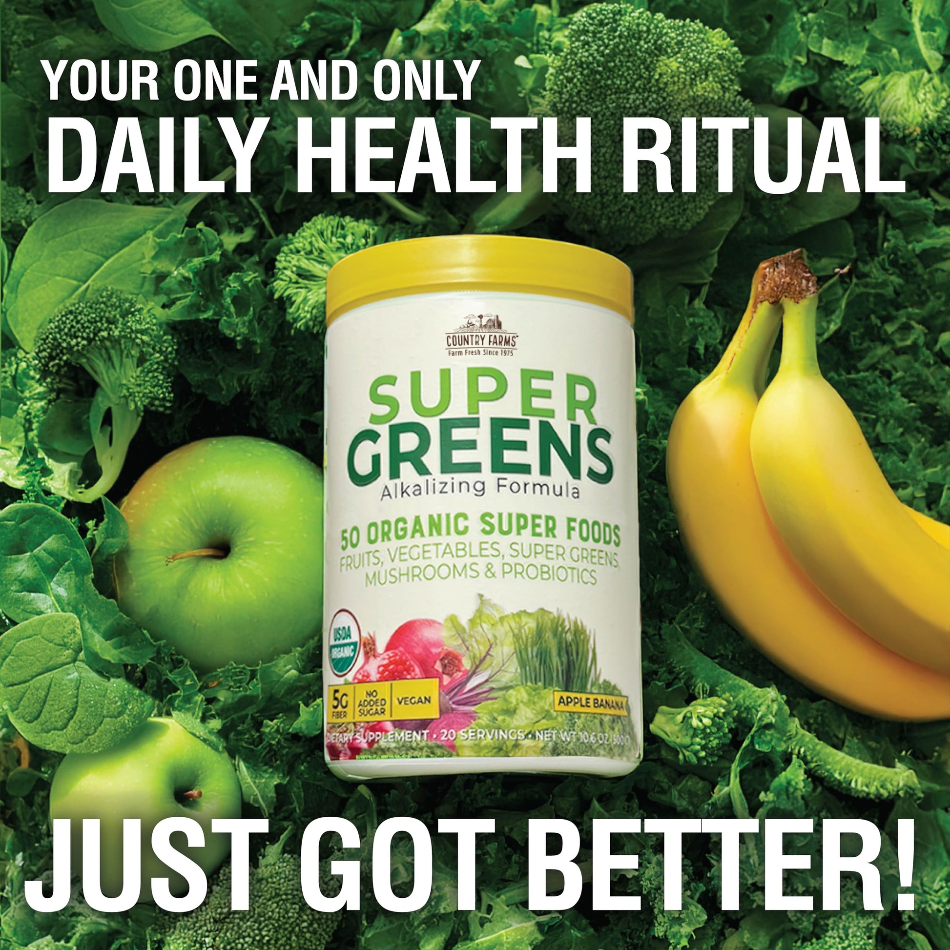 Country Farms Super Greens Apple Banana Powder Smoothie, Organic Super Foods, USDA Organic Drink Mix, Fruits, Vegetables, Mushrooms, Superfood Nutrition, 40 Servings, 2 Pack Country FarmsBuy Supplements Australia
