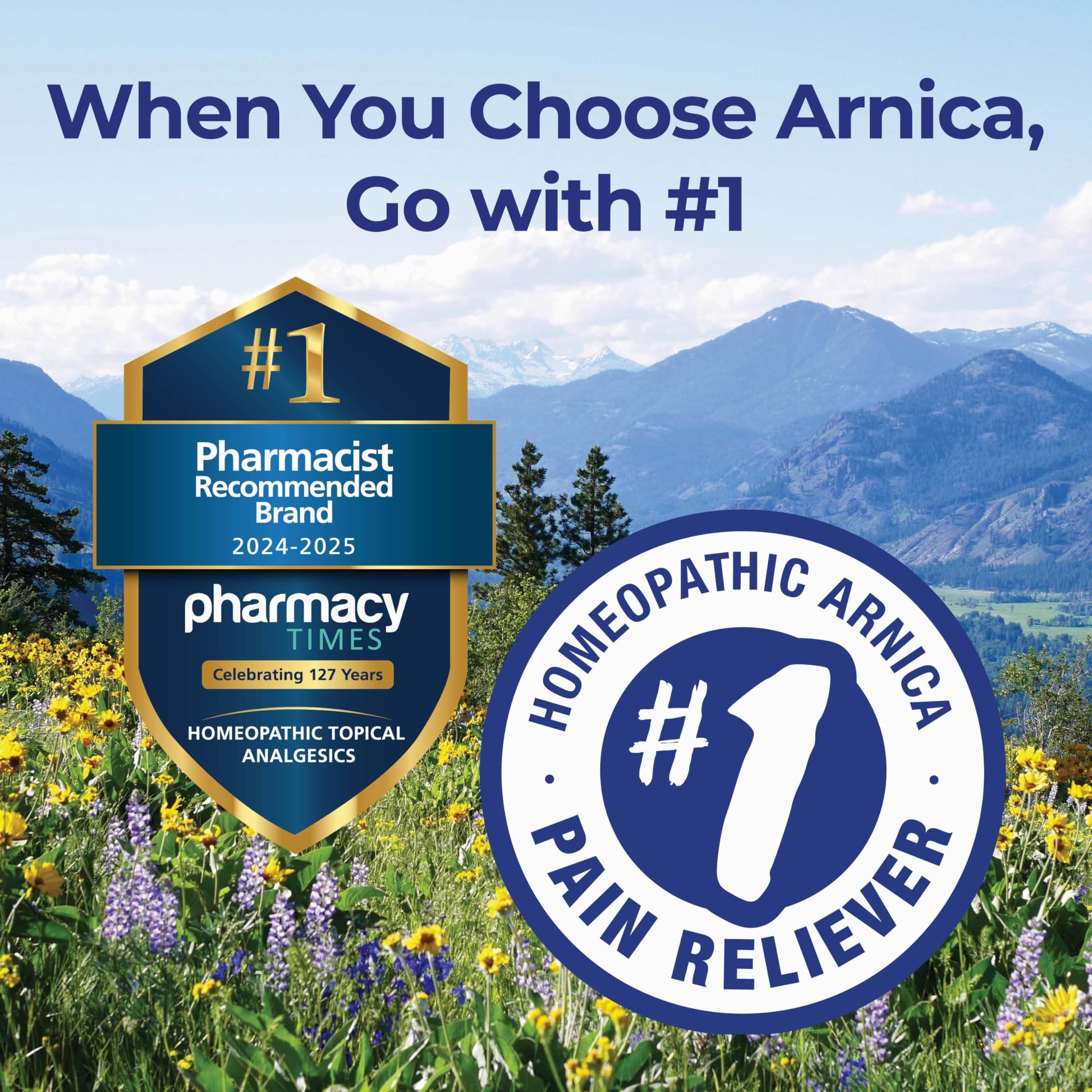 Boiron Arnicare Gel 4.2 oz (Twin Pack) for Joint Pain Relief, Muscle Pain, Muscle Soreness, and Swelling from Bruises or Injury - Non-Greasy and Fragrance-Free Arnica BoironBuy Supplements Australia