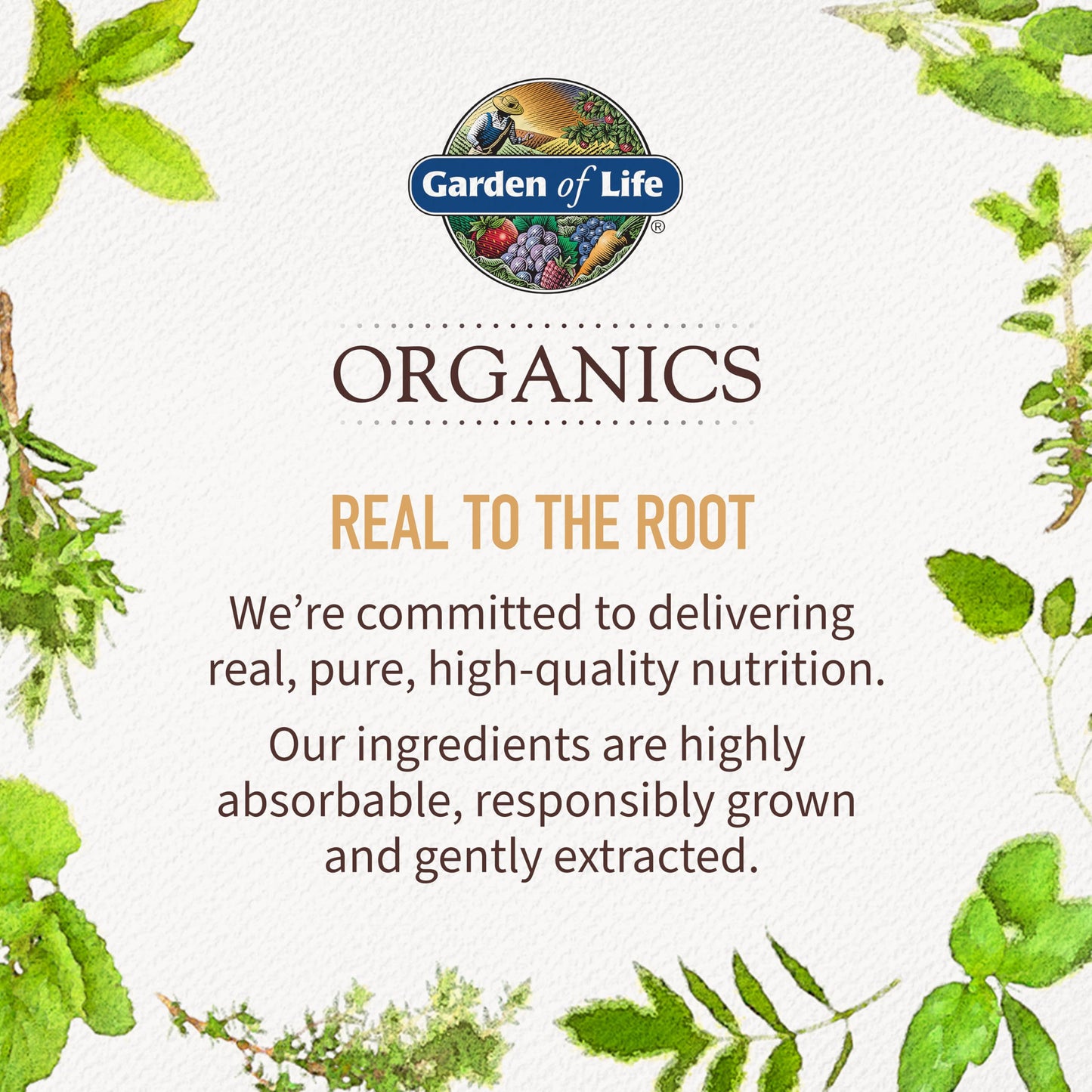 Garden of Life Calcium Supplement with Magnesium & Organic Vitamin D3 K2, Made from Whole Foods, Gluten-Free, 90 Count Garden of LifeBuy Supplements Australia