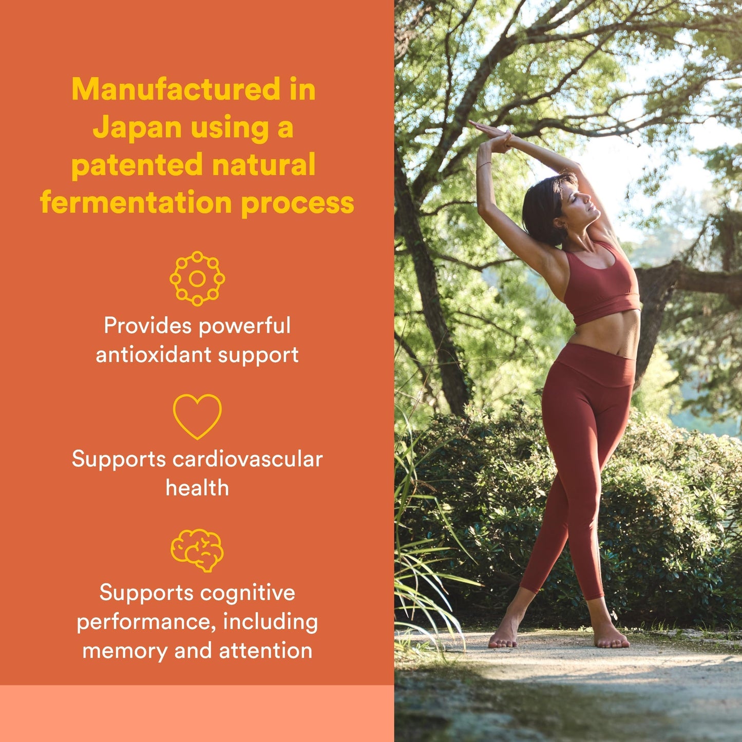 Natural Factors, PQQ-10, Supports Energy and Healthy Aging, Dietary Supplement, 60 softgels (60 servings) Natural FactorsBuy Supplements Australia