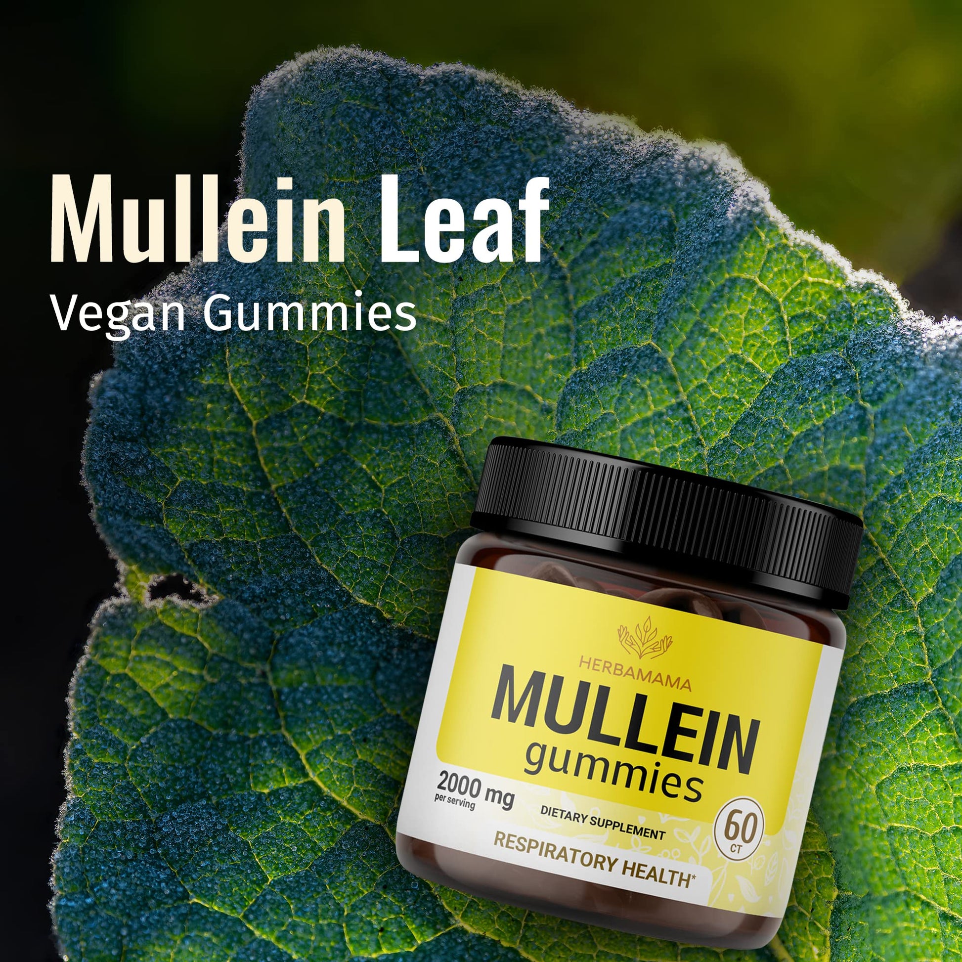 HERBAMAMA Mullein Gummies - Mullein Leaf Dietary Supplement for Respiratory HERBAMAMABuy Supplements Australia