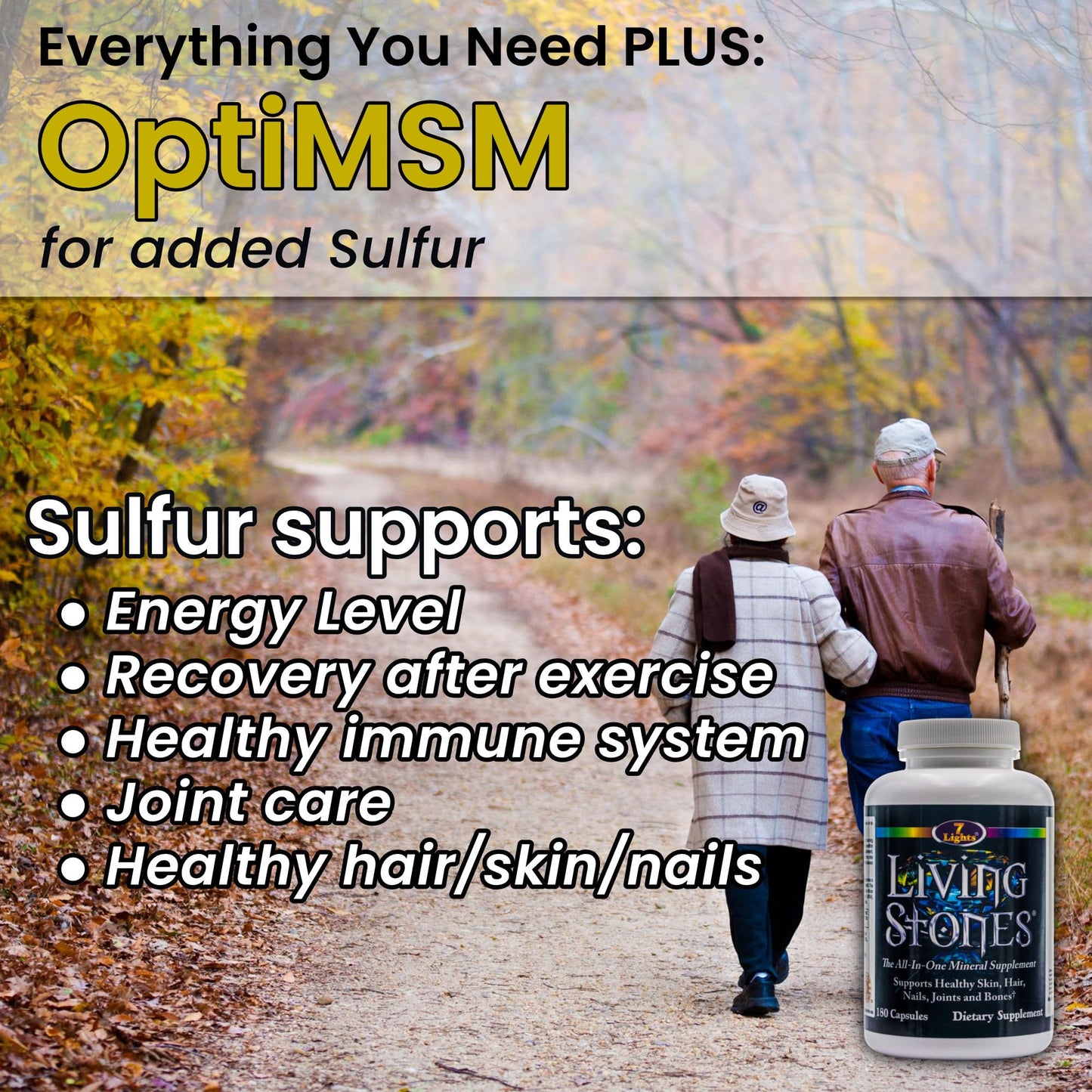 Living Stones, Complete Mineral Supplement with Zinc, Calcium, Magnesium, Selenium, Trace Minerals, No Added Iron, with MSM (Organic Sulfur) and Shilajit, Premium Absorption (30-Day Supply - 180 Caps) 7 LightsBuy Supplements Australia