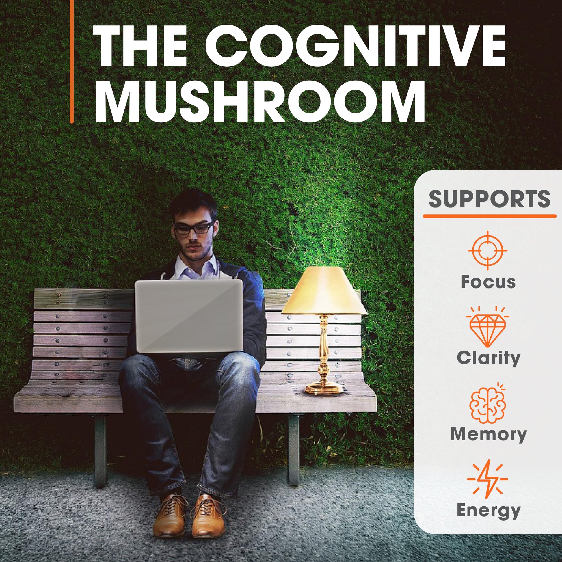 Genius Lions Mane Supplement Capsules - Organic Nootropic Supplement, 1200mg per The Genius BrandBuy Supplements Australia