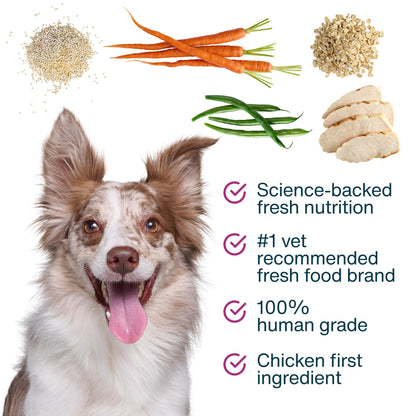 JustFoodForDogs JustFresh Boosts Hip & Joint Support Dog Food Toppers with Glucosamine to Support Hip Mobility & Joint Flexibility, Human-Grade Fresh Pet Meal Booster, 8 oz Pouches - 8 Pack JustFoodForDogsBuy Supplements Australia