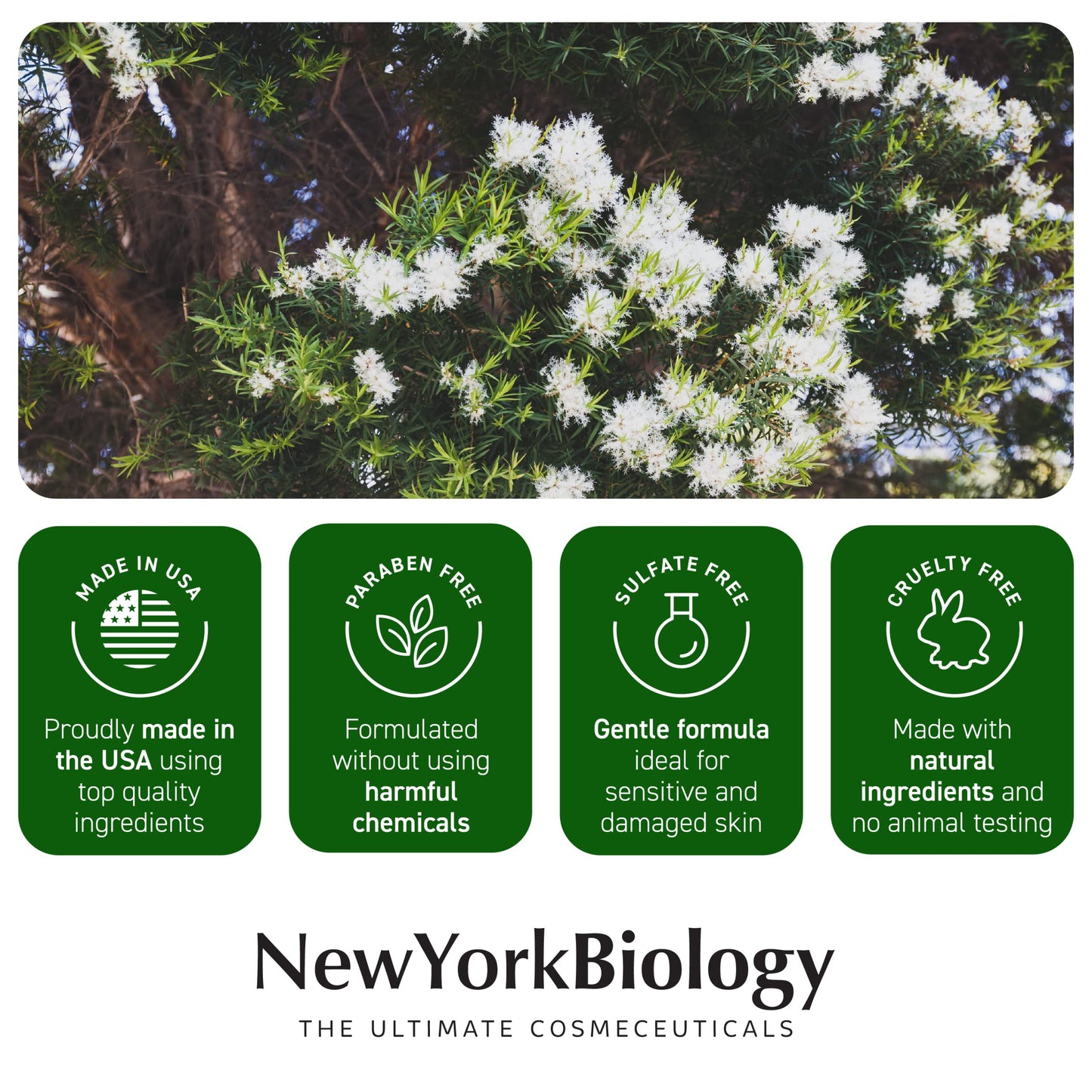 New York Biology Tea Tree Oil Foot Cream for Dry Cracked Feet, Athletes Foot, Nail Fungus NEW YORK BIOLOGY THE ULTIMATE COSMECEUTICALSBuy Supplements Australia