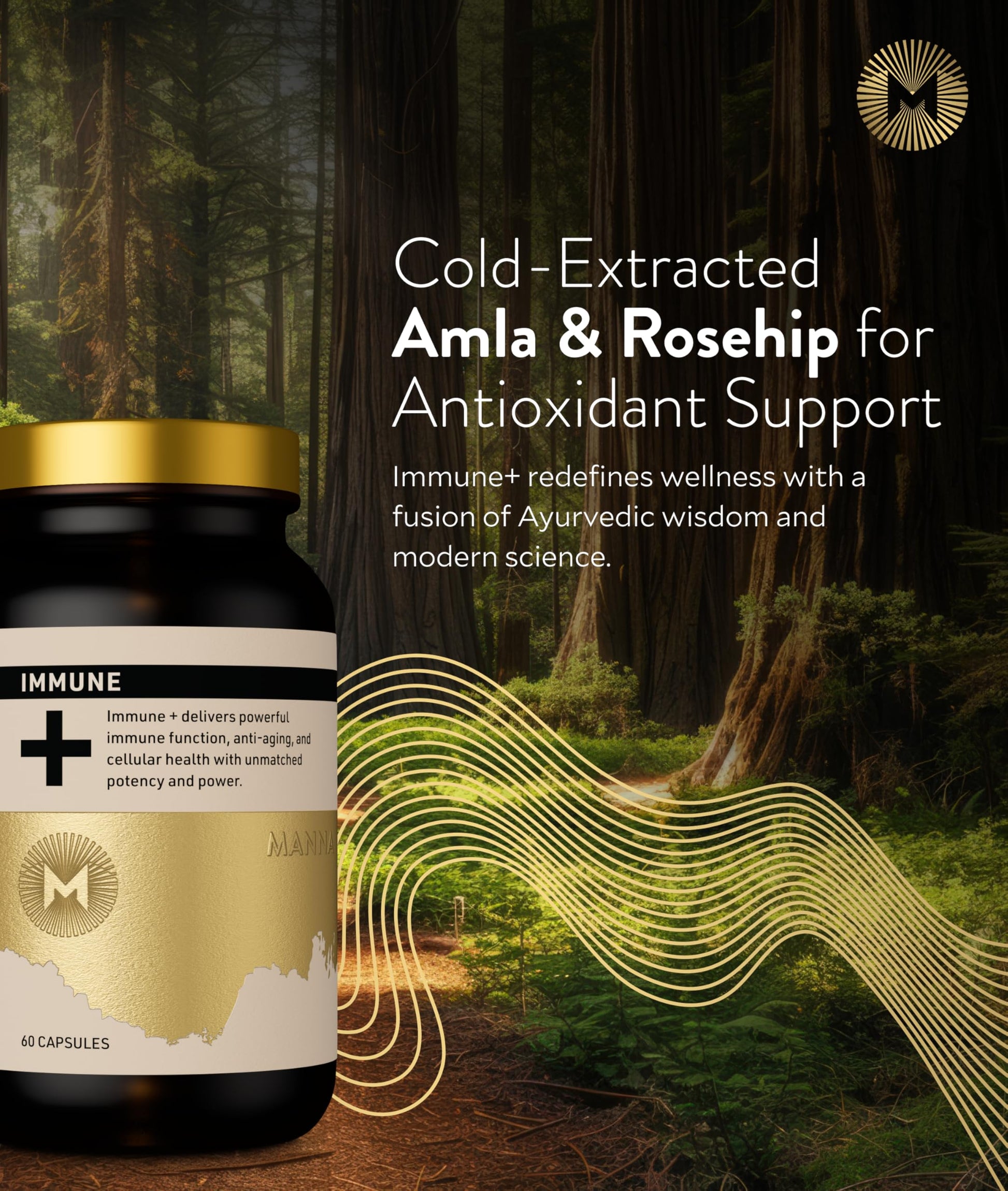 Manna Immune+ Capsules | 500mg Amla Extract & 500mg Rosehip Extract | Vitamin C Supplement for Immune Boost, Antioxidants, Heart Health, Digestion & Immune System Support | For Daily Use | 60 Count M MannaBuy Supplements Australia
